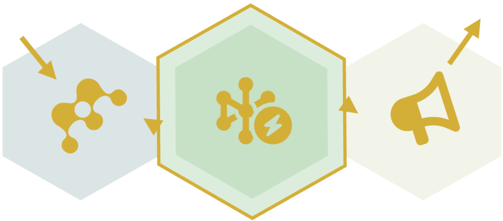 Talent Journals: Journal Multiplied Accelerators Process: Reflect+Act+Declare